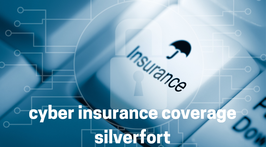 cyber insurance coverage silverfort on trendmagazinehub